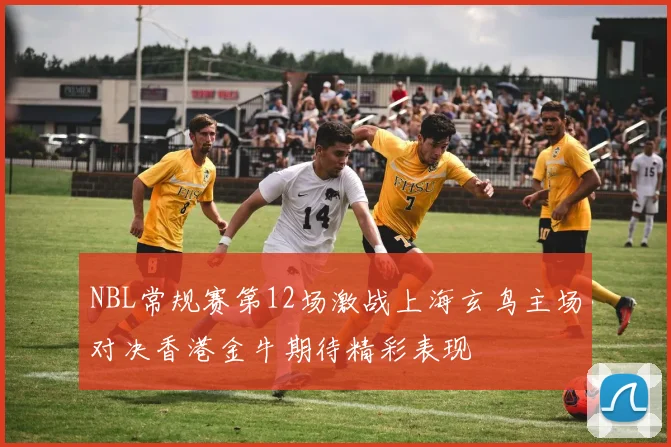 NBL常规赛第12场激战上海玄鸟主场对决香港金牛期待精彩表现