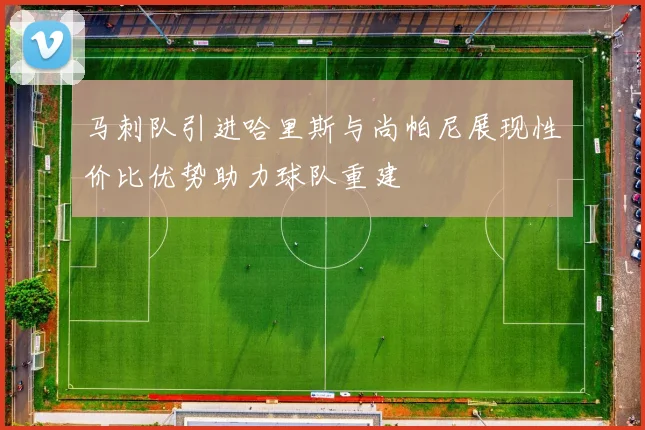 马刺队引进哈里斯与尚帕尼展现性价比优势助力球队重建